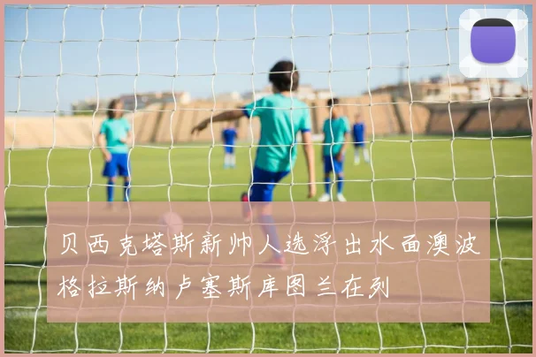贝西克塔斯新帅人选浮出水面澳波格拉斯纳卢塞斯库图兰在列